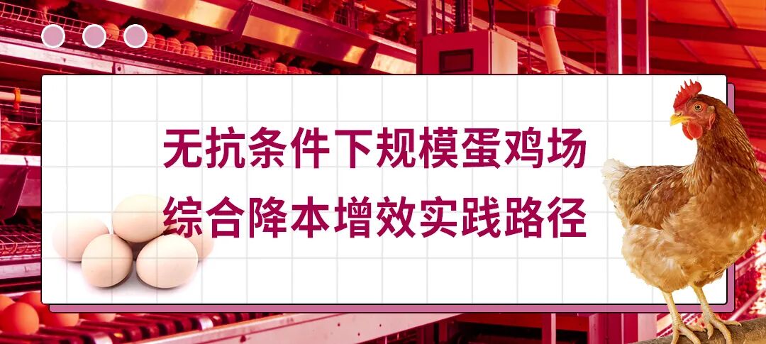 7b505a9a2d8c062 7b505a9a2d8c062