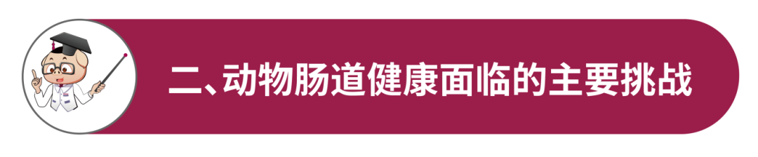 配图-03.png
